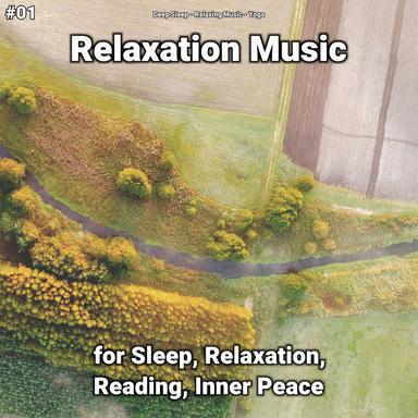 Thoughtful Relaxation Music