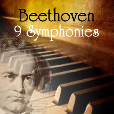 Symphony No. 2 in D, Op. 36: II. Larghetto