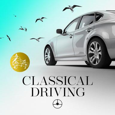 Orchestral Suite No. 3 in D Major, BWV. 1068: II. Air on a G String