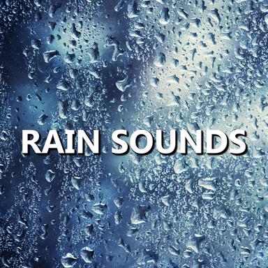 Relaxing Morning Rain Shower Sounds