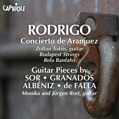 Concierto de Aranjuez: I. Allegro con spirito