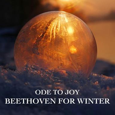 Septet in E-Flat Major, Op. 20: III. Tempo di menuetto