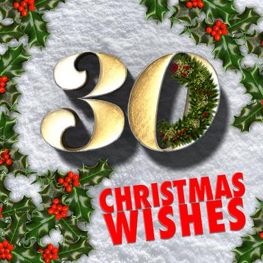 Don't Shoot Me Santa