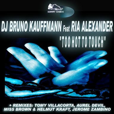 Too Hot To Touch - Aurel Devil Remix