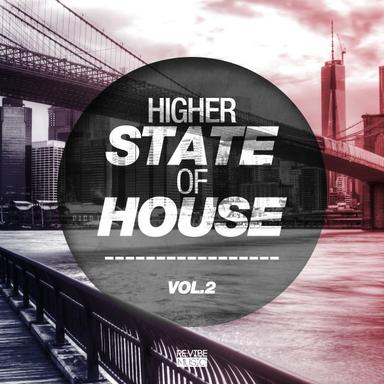 Higher State of House, Vol. 2