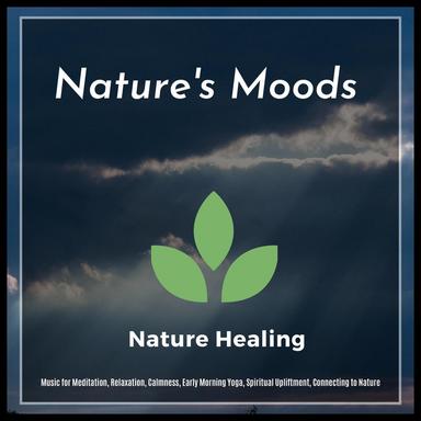 Feel Alive - Original Mix