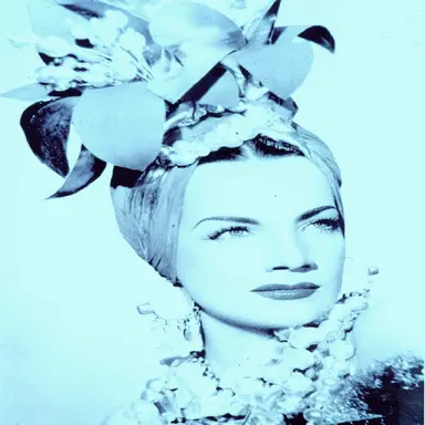 I'm Just Wild About Harry