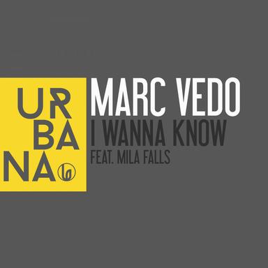 I Wanna Know - David Penn Remix