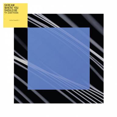 Where You Should Be - Shy FX Remix