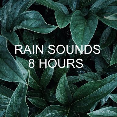 Rain Sounds 8 Hours