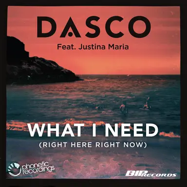 What I Need (Right Here, Right Now) - Radio Edit