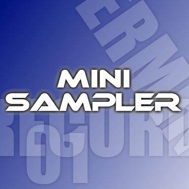 Mini Sampler 004