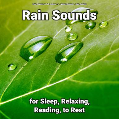 Rain Sounds to Help Fall Asleep