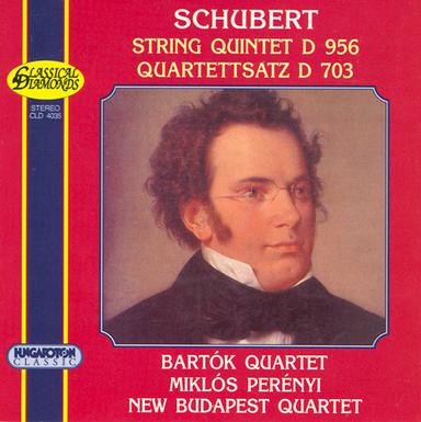 String Quintet in C Major, Op. 163, D. 956: II. Adagio