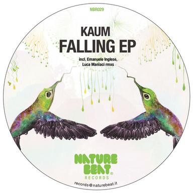 Falling - Luca Maniaci Remix
