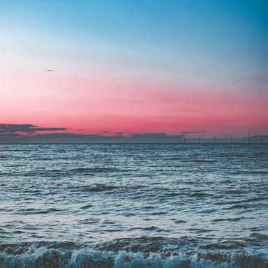 Peaceful Forest Wind