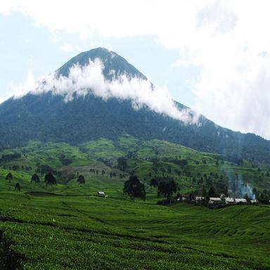 The Magic Flute KV 620: IX. Allegro