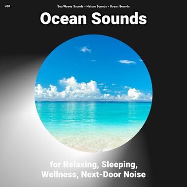 Wave Noises to Relax To