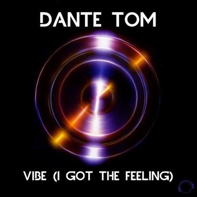 Vibe (I Got the Feeling) - Radio Edit