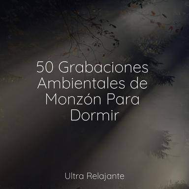 Velas De Viento en El Horizonte