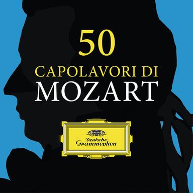 Symphony No. 40 in G minor, K.550 - (2nd version): 1. Molto Allegro - Excerpt