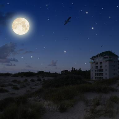 Horizons