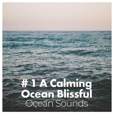 Afternoon Ocean Waves