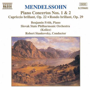 Piano Concerto No. 2 in D Minor, Op. 40, MWV O11: I. Allegro appassionato