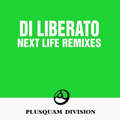 Next Life - Felipe Abel Remix