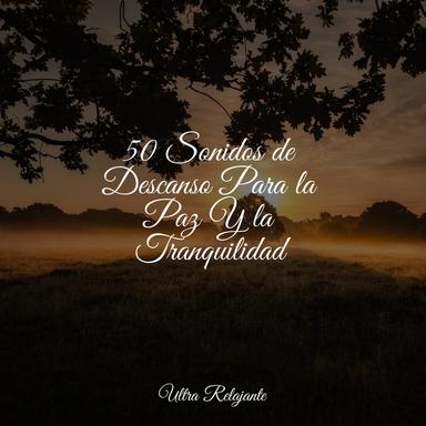Conectividad