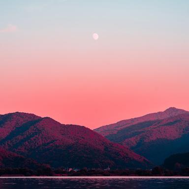 Ambience