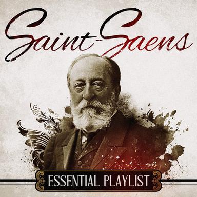 Piano Concerto No.4 in C minor, Op.44 : 1. Allegro moderato - Andante