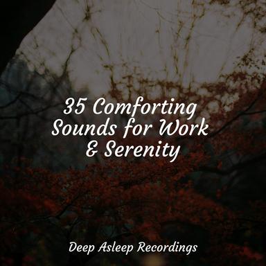 Forgotten Friendly Forest