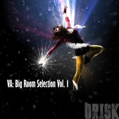 Big Room Selection, Vol. 1