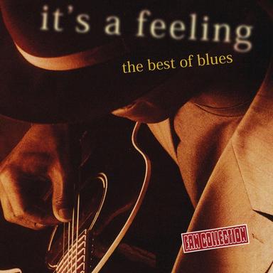 Every Day I Have The Blues