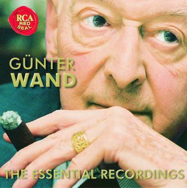 Symphony No. 9 in C major, D. 944 "The Great": Andante con moto