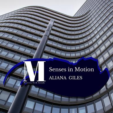 Senses In Motion - Original Mix
