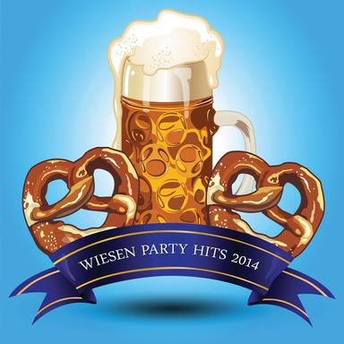 Party Hit Mix 2014 (Freunde / Ich lieb dich / Hör gut zu / Wenn du da bist / Lena / Hab mich wieder mal an dir betrunken