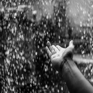 Quiet Rain