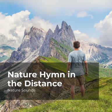 Wind Blowing the Trees