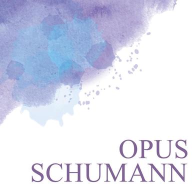 Violin Concerto in D Minor, WoO 23: II. Langsam