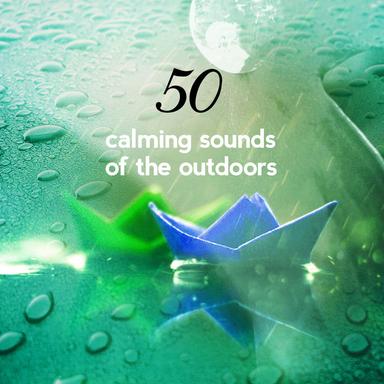 A Walk in the Country