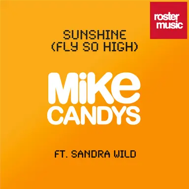 Sunshine (Fly So High) (feat. Sandra Wild) - 2012 Radio Mix