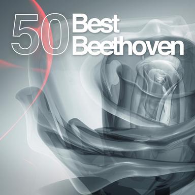 Mass in C Major, Op. 86: V. Agnus Dei