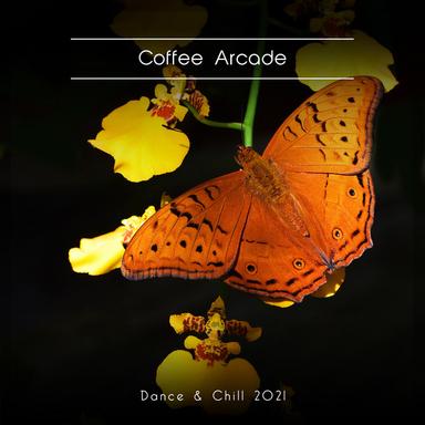 Buffalo Zone - Pitch -4