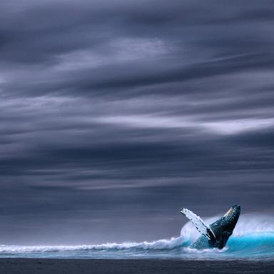 Calming Rains Meditation