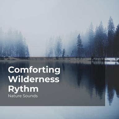 Mysterious Rain Forest