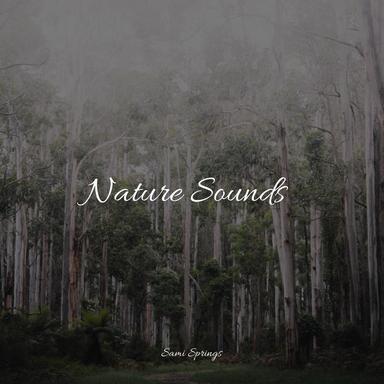 Splish Splosh Rain