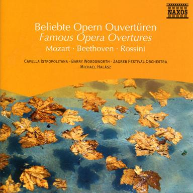 Der fliegende Hollander (The Flying Dutchman): Overture