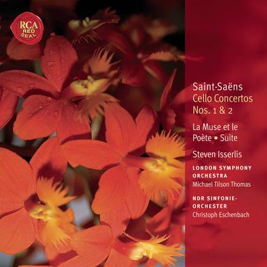 Cello Concerto No. 2, Op. 119 in D Minor: Allegro moderato e maestoso; Andante sostenuto